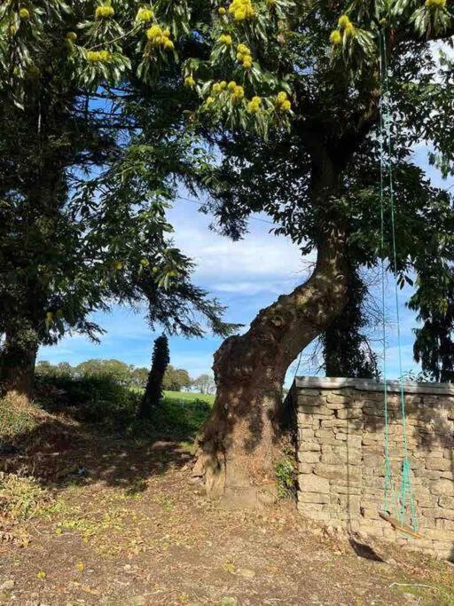 Gite Du Dolmen Villa Guiscriff Exterior foto